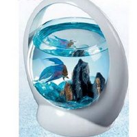 Настольный аквариум